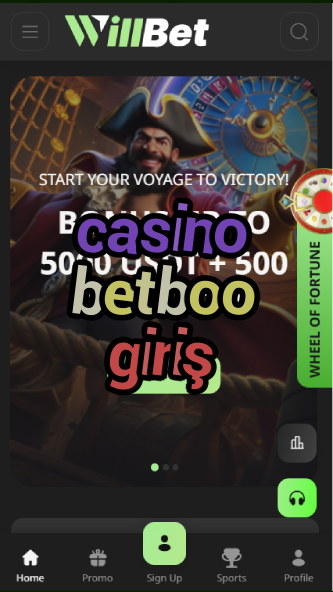 casino betboo giriş-asdasdzhjkds.com